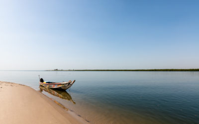 Au sein du Saloum
