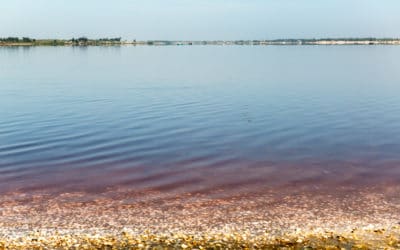 Le lac rose