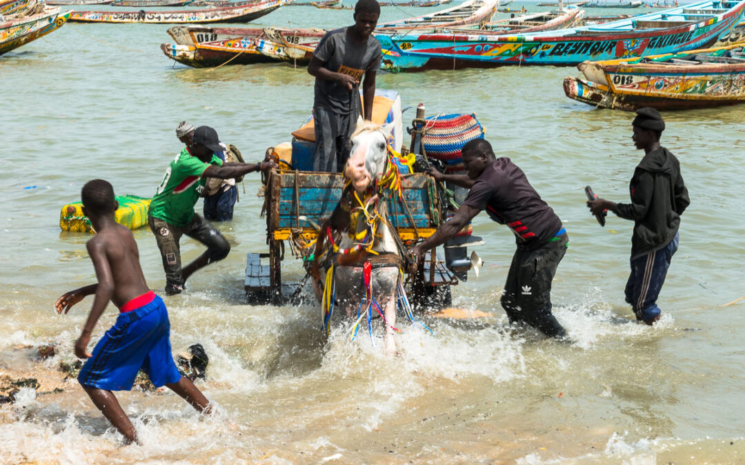 L’arrivée des pêcheurs à M’Bour